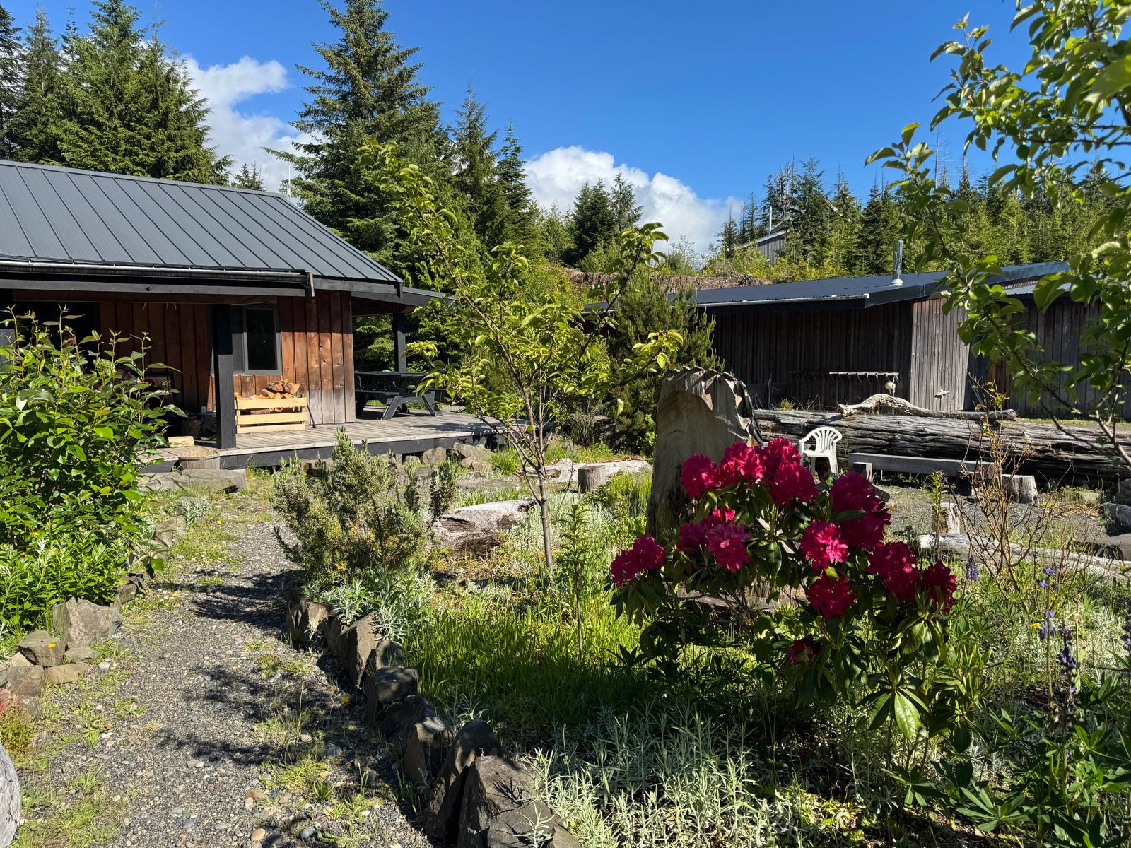 The station grounds and gardens in summer