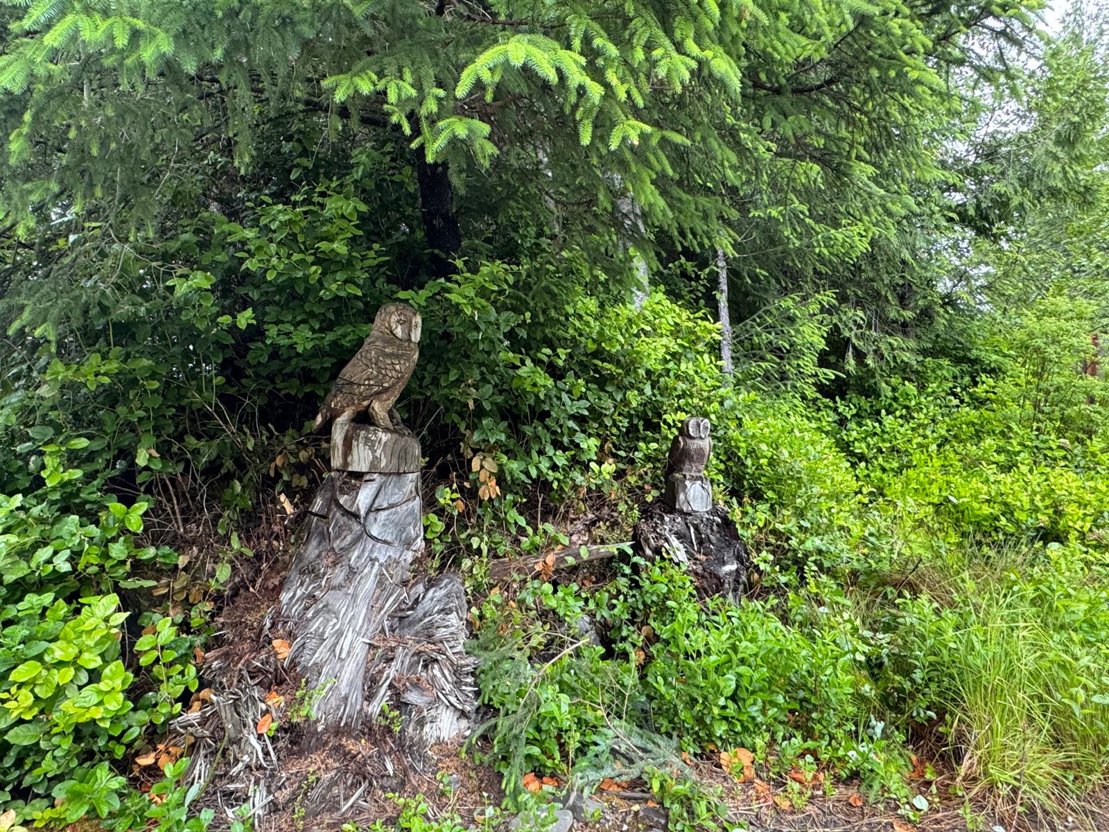 Owl Corner on the walk to the beaches